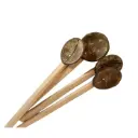 Coconut Shell Spoon | පොල්කටු හැන්ද